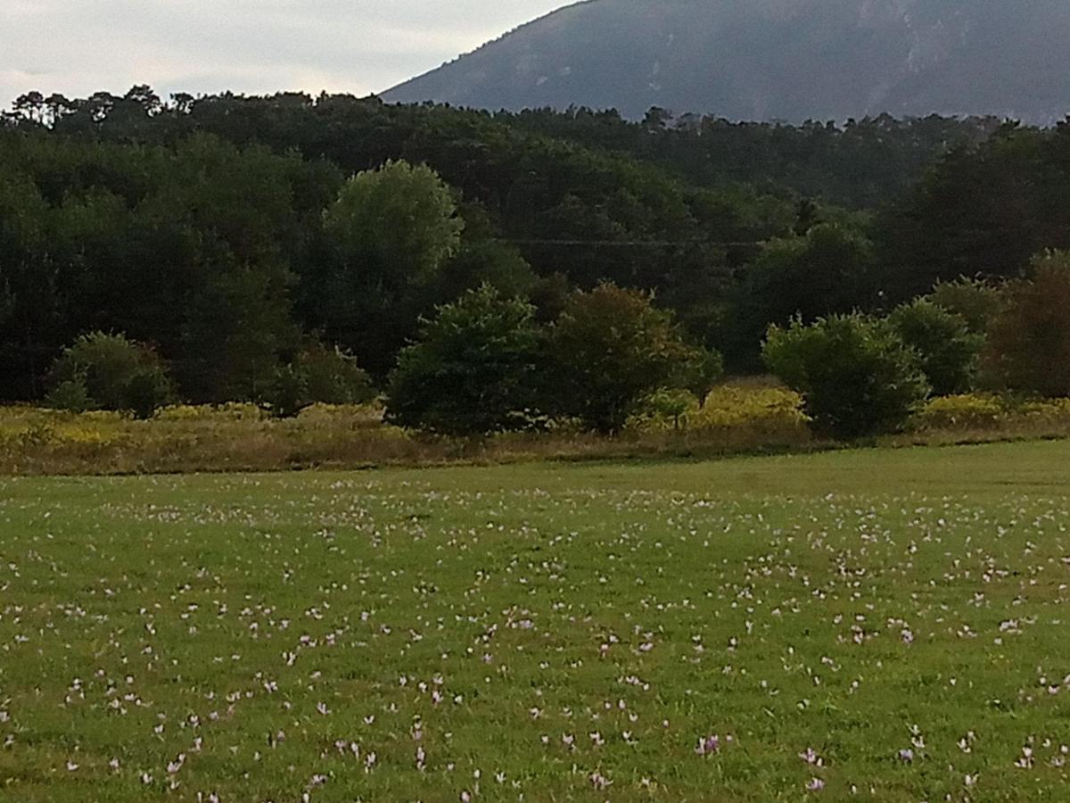 Montagne, Mer Et Verdon Seranon Bagian luar foto