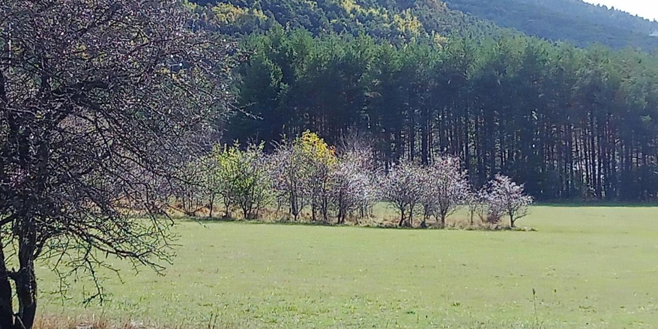 Montagne, Mer Et Verdon Seranon Bagian luar foto