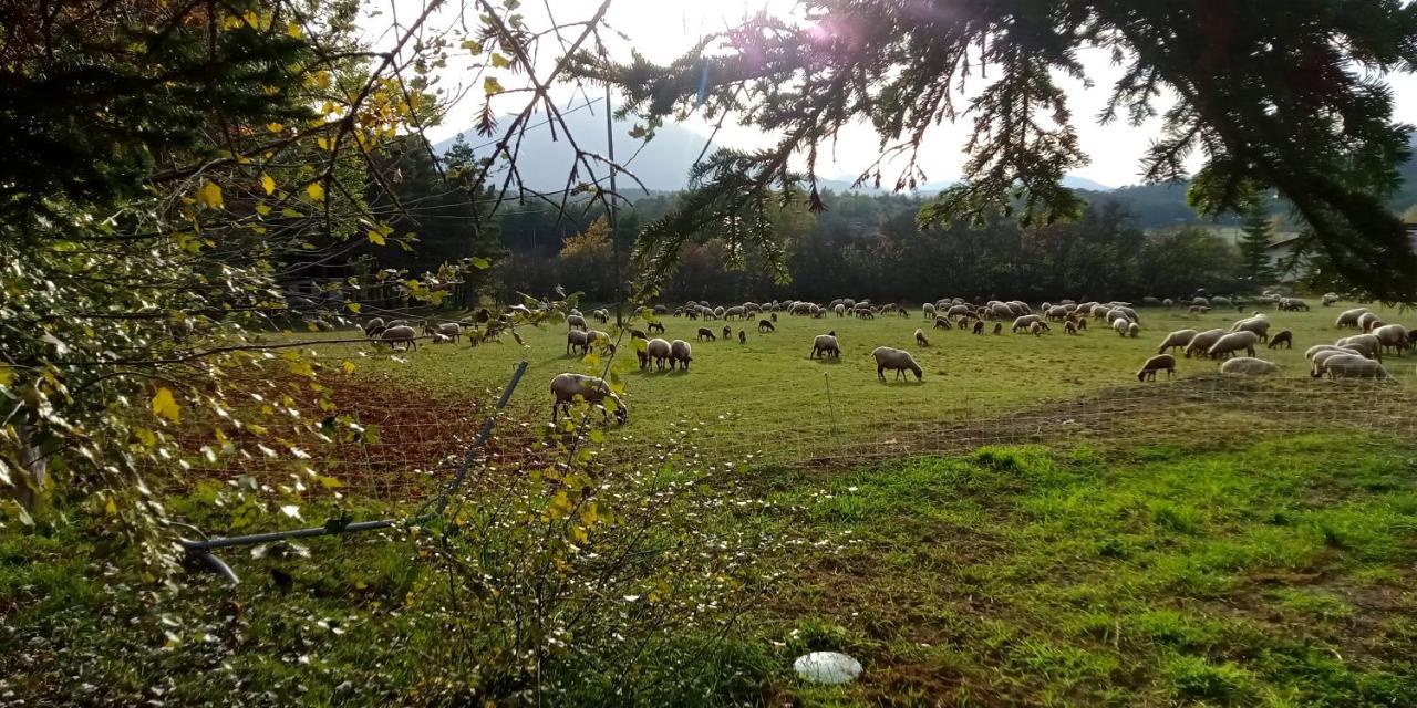 Montagne, Mer Et Verdon Seranon Bagian luar foto