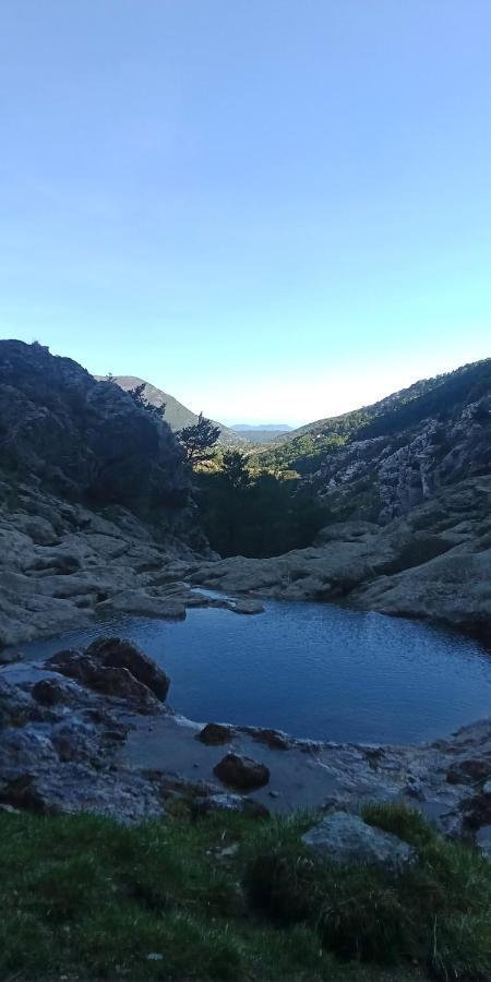Montagne, Mer Et Verdon Seranon Bagian luar foto